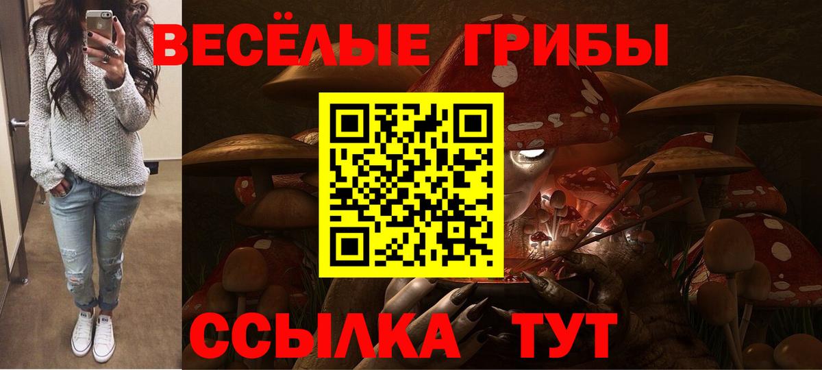 Псилоцибиновые грибы MAGIC MUSHROOMS Воткинск