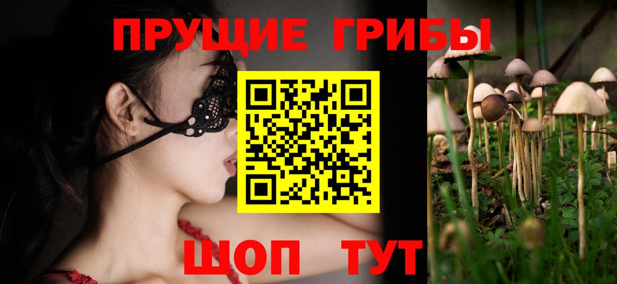 Псилоцибиновые грибы Psilocybe  Вход с VPN  Воткинск 